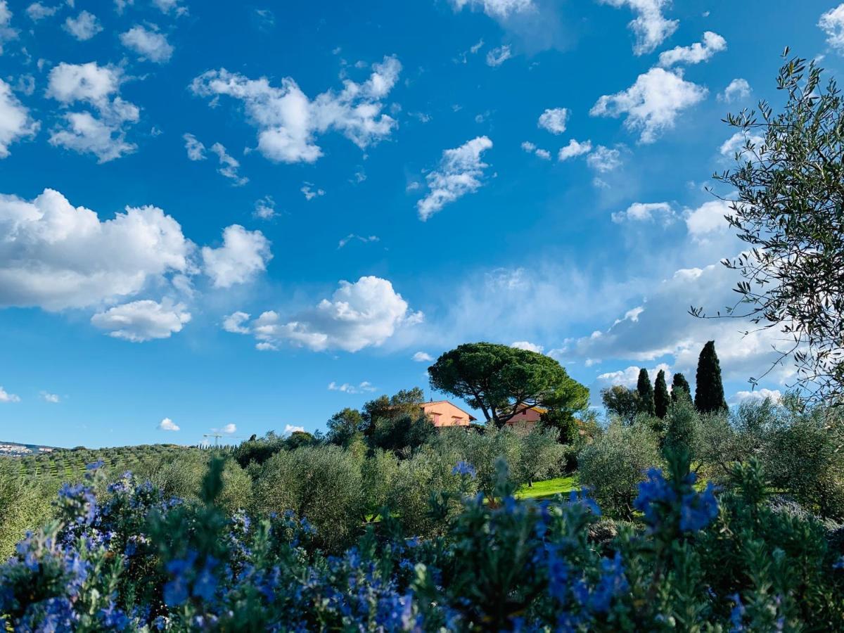 マッサ・マリッティマ Tenuta Agricola Fraschieraヴィラ エクステリア 写真