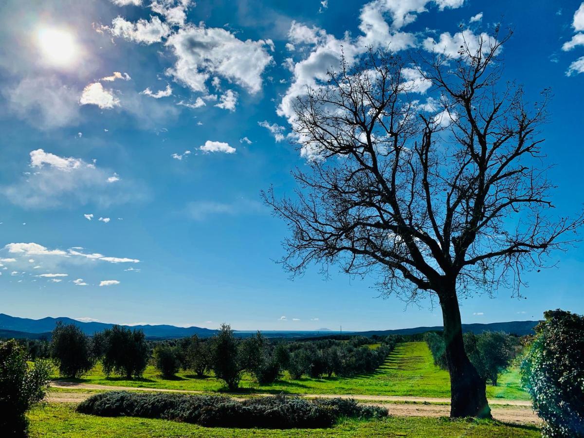 マッサ・マリッティマ Tenuta Agricola Fraschieraヴィラ エクステリア 写真