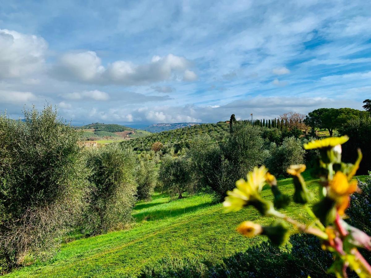 マッサ・マリッティマ Tenuta Agricola Fraschieraヴィラ エクステリア 写真